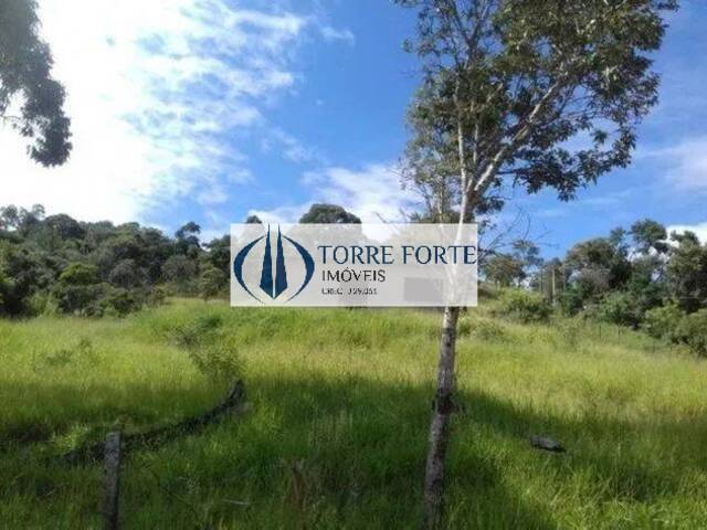 #5509 - Terreno para Venda em São Roque - SP - 3