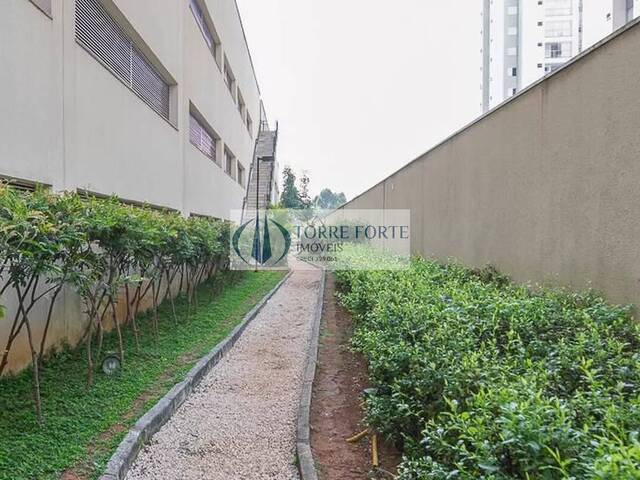 #8463 - Apartamento para Venda em São Caetano do Sul - SP - 3
