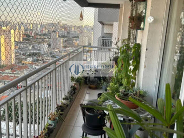 Venda em Brás - São Paulo