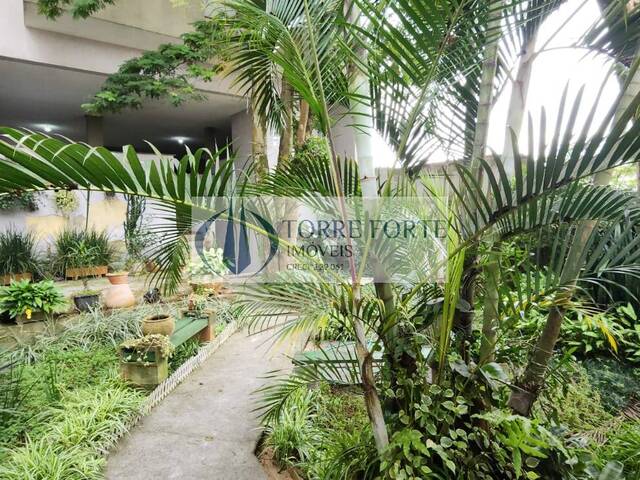 Venda em Vila Floresta - Santo André