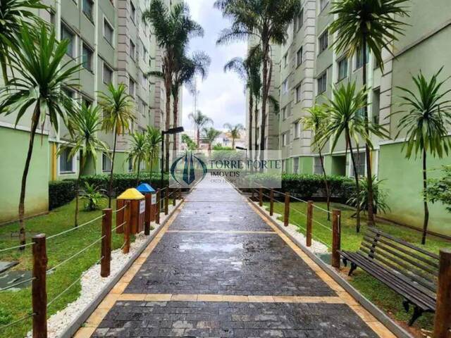 Venda em Jardim Santa Terezinha (Zona Leste) - São Paulo