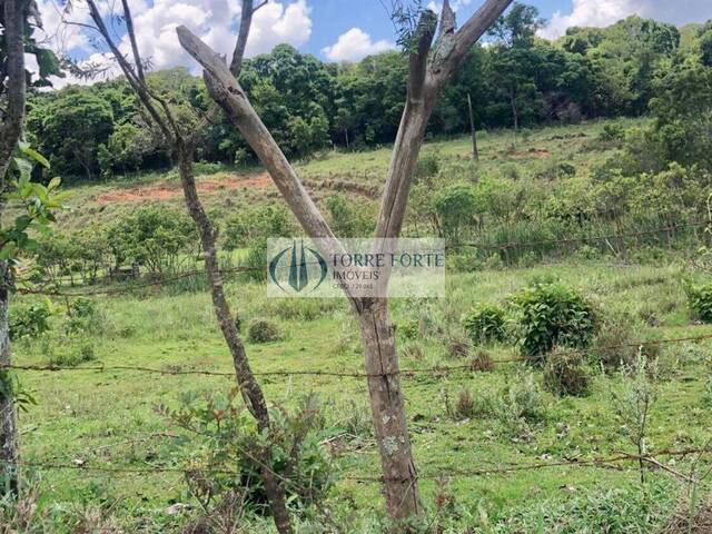 #10385 - Área para Venda em Bragança Paulista - SP - 1