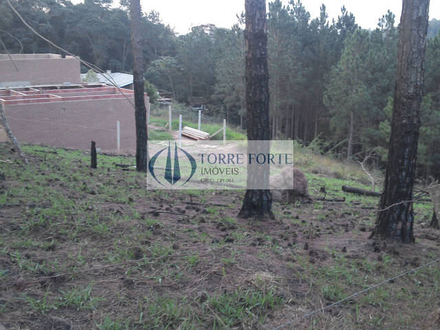 #10436 - Área para Venda em Atibaia - SP - 2