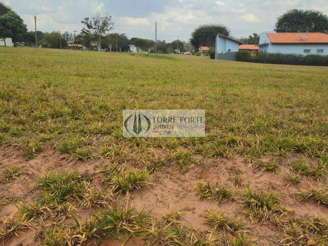 #10463 - Área para Venda em Águas de Santa Bárbara - SP - 1