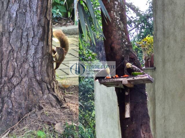 #10640 - Casa em condomínio para Venda em São Paulo - SP - 3