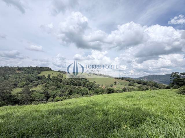 #10951 - Chácara para Venda em Pedra Bela - SP - 3