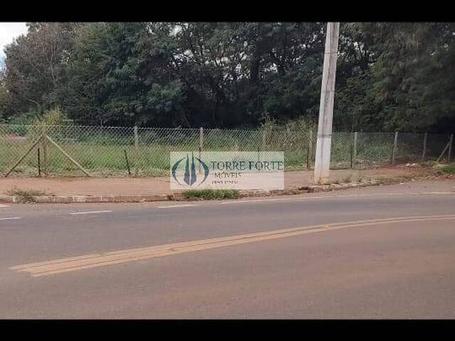 #11444 - Área para Venda em Campinas - SP - 2