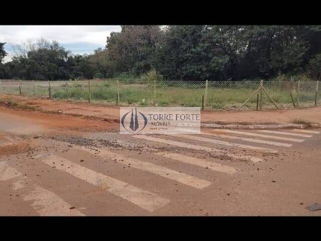 Área para Venda em Campinas - 5