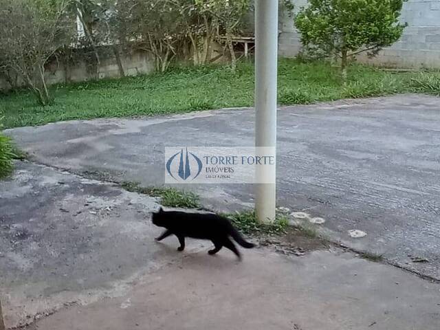 Chácara para Venda em Mogi das Cruzes - 5
