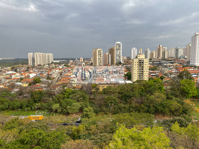 Venda em Vila Monte Alegre - São Paulo