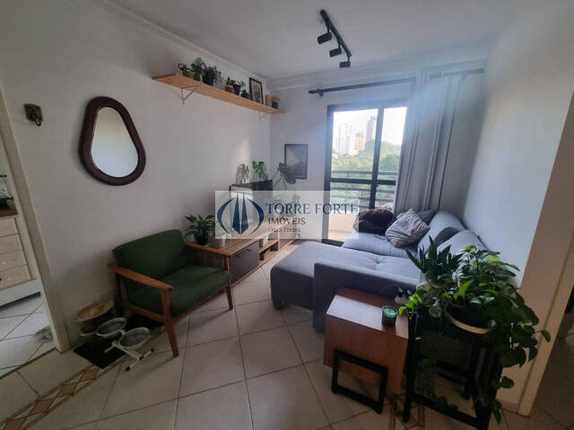 Venda em Vila Monte Alegre - São Paulo