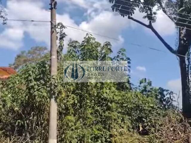 #12307 - Área para Venda em Mairiporã - SP - 2