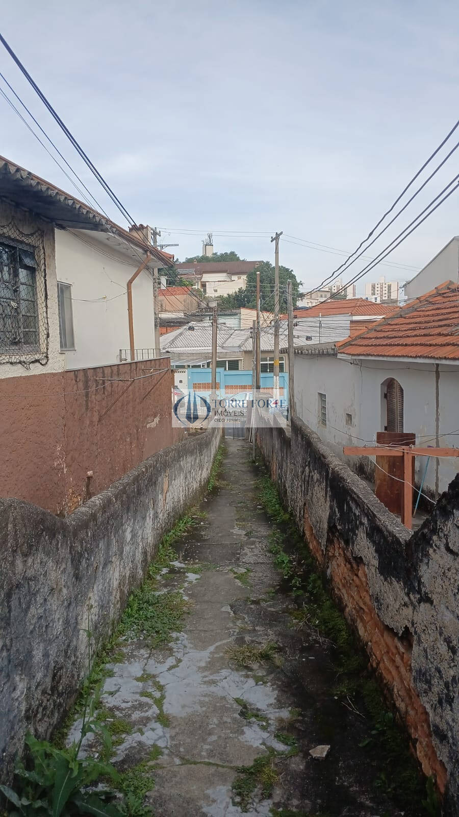 Terreno à venda, 800m² - Foto 5