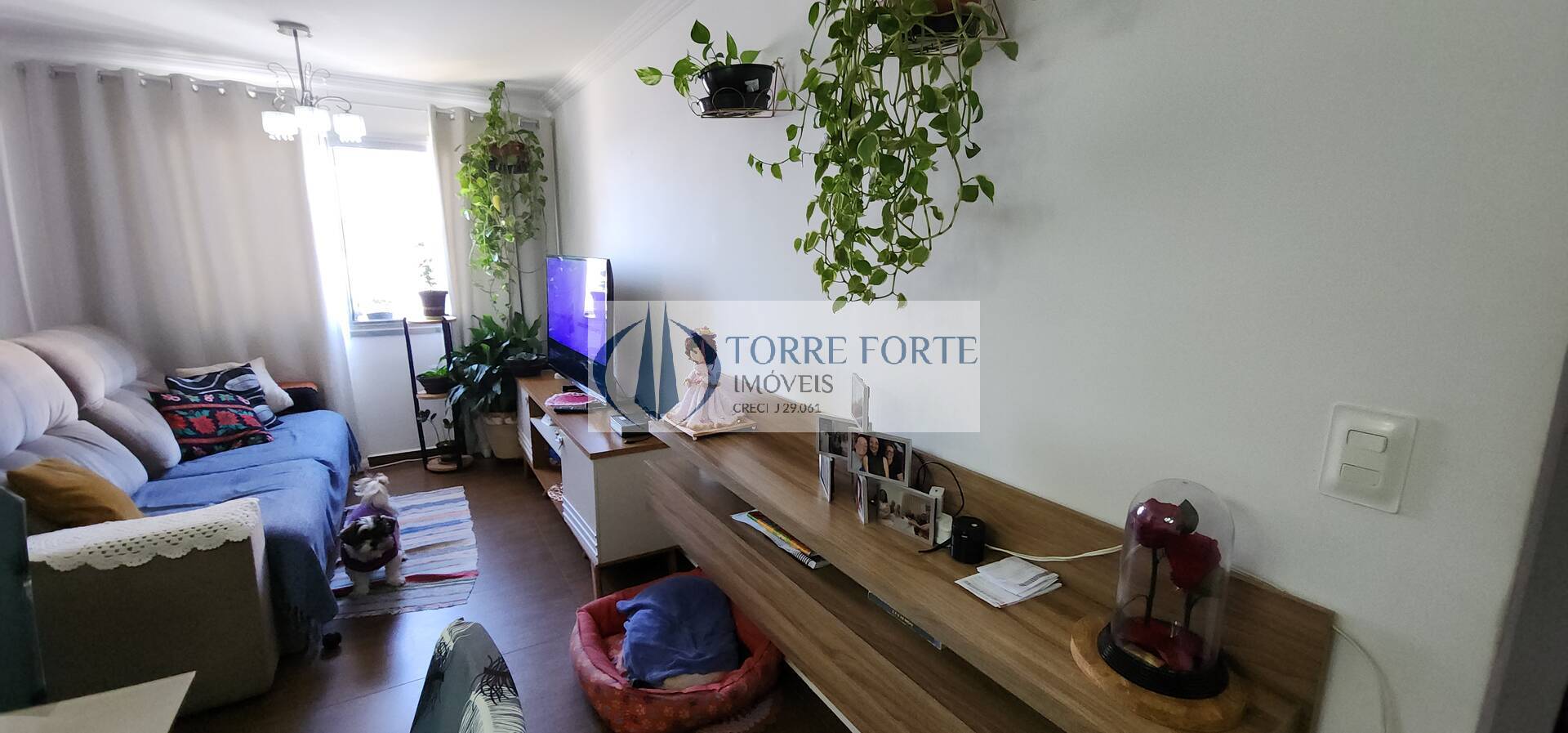 Apartamento à venda com 2 quartos, 50m² - Foto 5