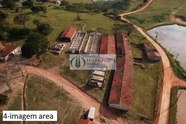 Sítio à venda com 5 quartos, 16600m² - Foto 4