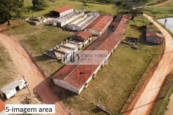 Sítio à venda com 5 quartos, 16600m² - Foto 5