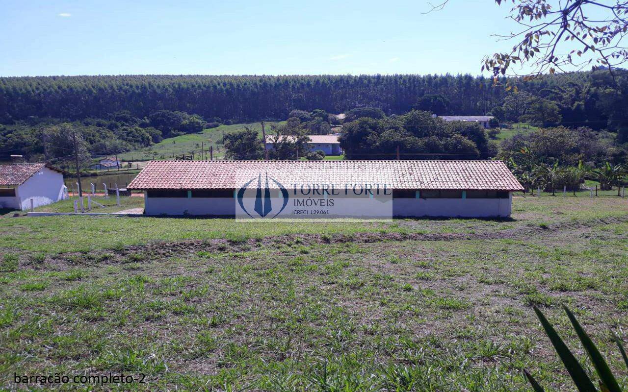 Sítio à venda com 5 quartos, 16600m² - Foto 9