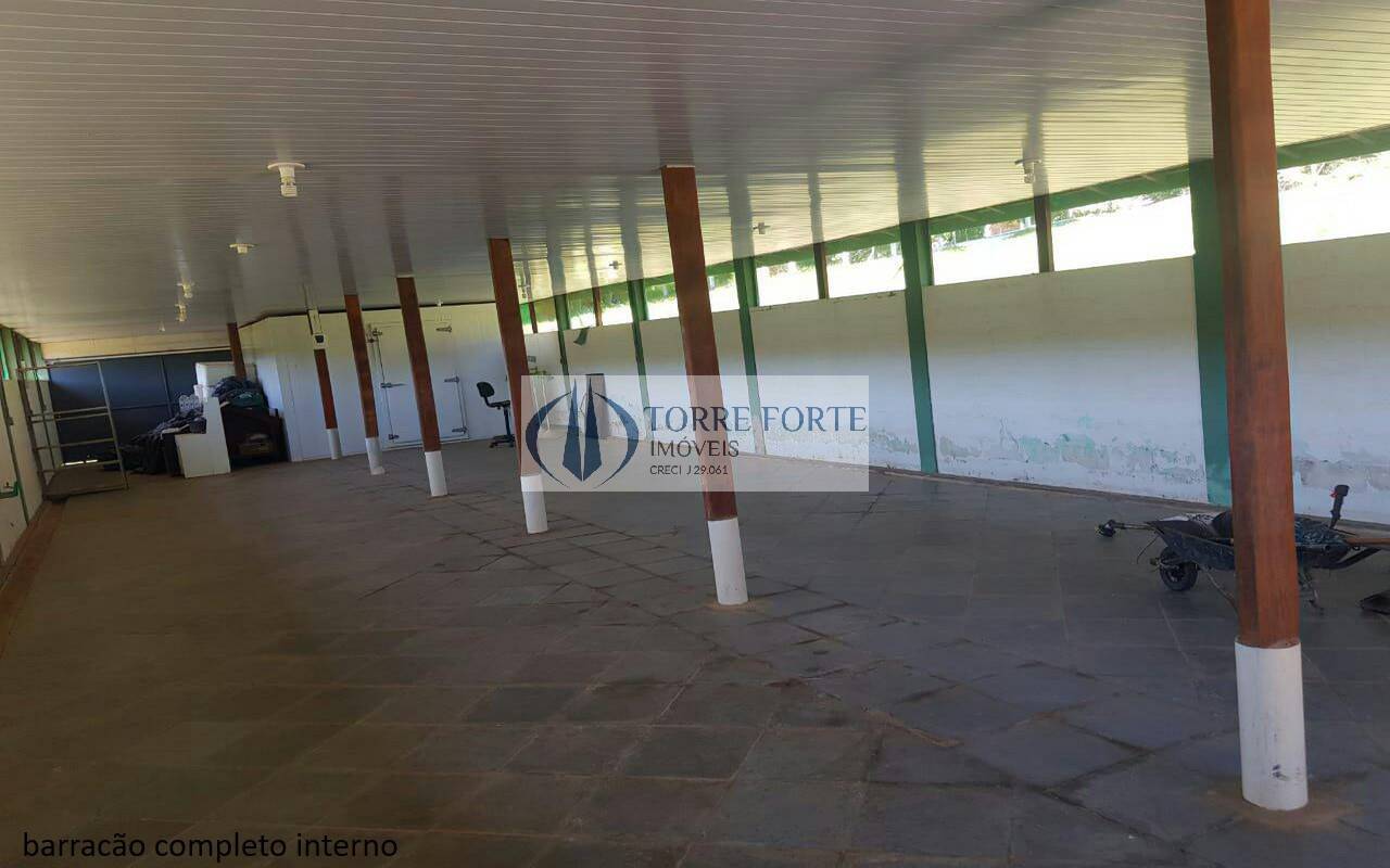 Sítio à venda com 5 quartos, 16600m² - Foto 11
