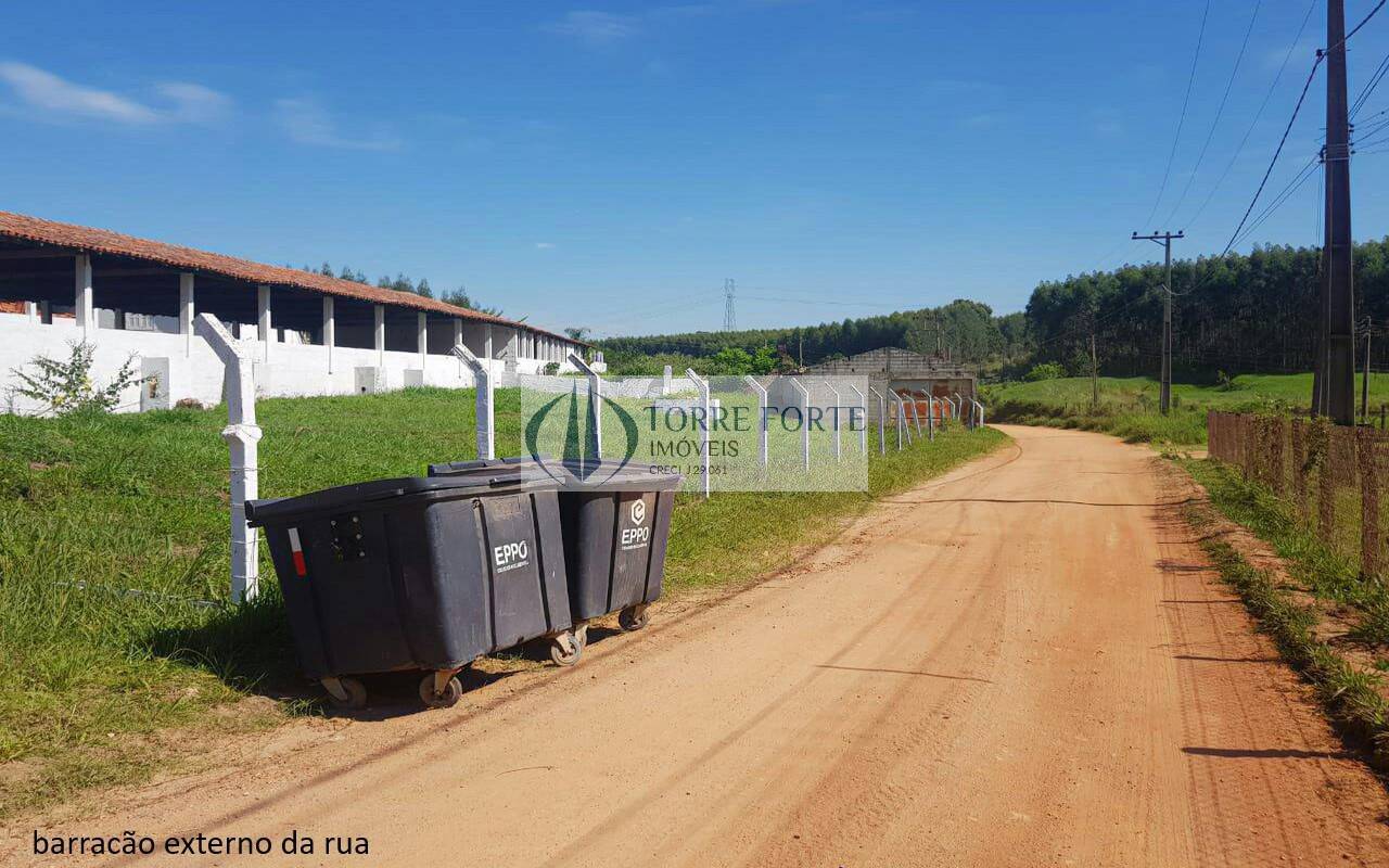 Sítio à venda com 5 quartos, 16600m² - Foto 12
