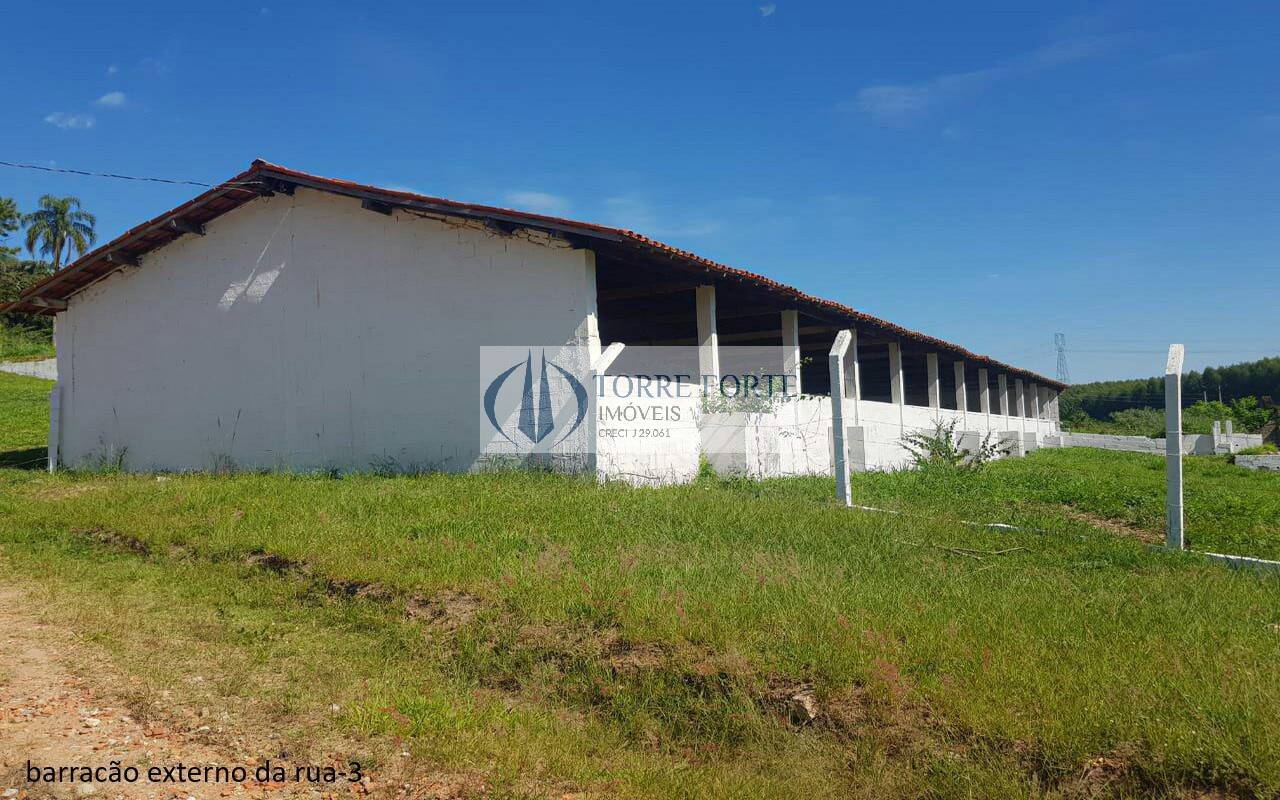 Sítio à venda com 5 quartos, 16600m² - Foto 13