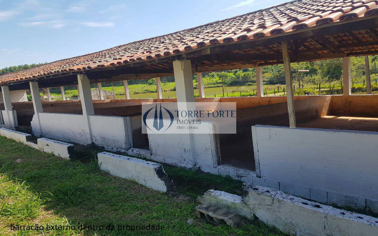 Sítio à venda com 5 quartos, 16600m² - Foto 14