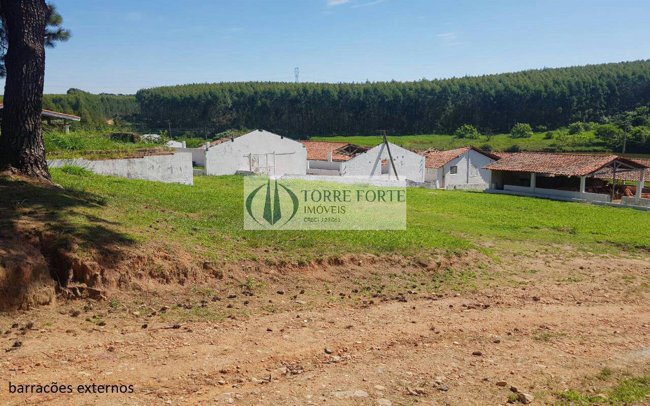 Sítio à venda com 5 quartos, 16600m² - Foto 17