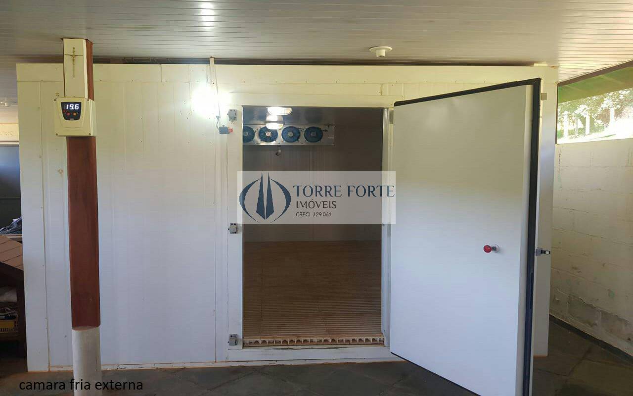Sítio à venda com 5 quartos, 16600m² - Foto 18