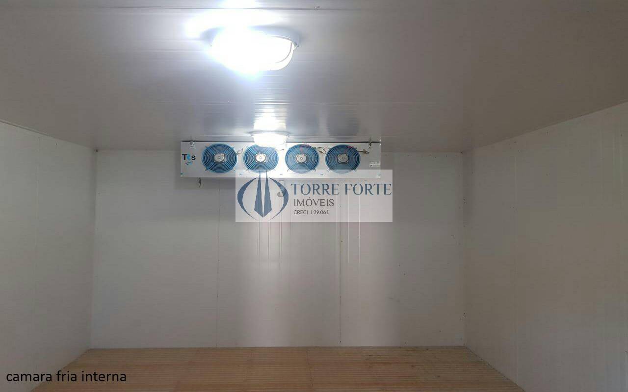 Sítio à venda com 5 quartos, 16600m² - Foto 20
