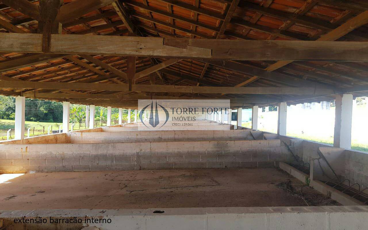 Sítio à venda com 5 quartos, 16600m² - Foto 30
