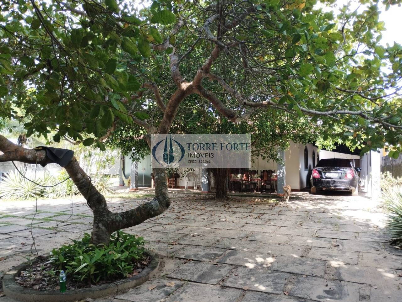 Casa à venda com 6 quartos, 1200m² - Foto 8