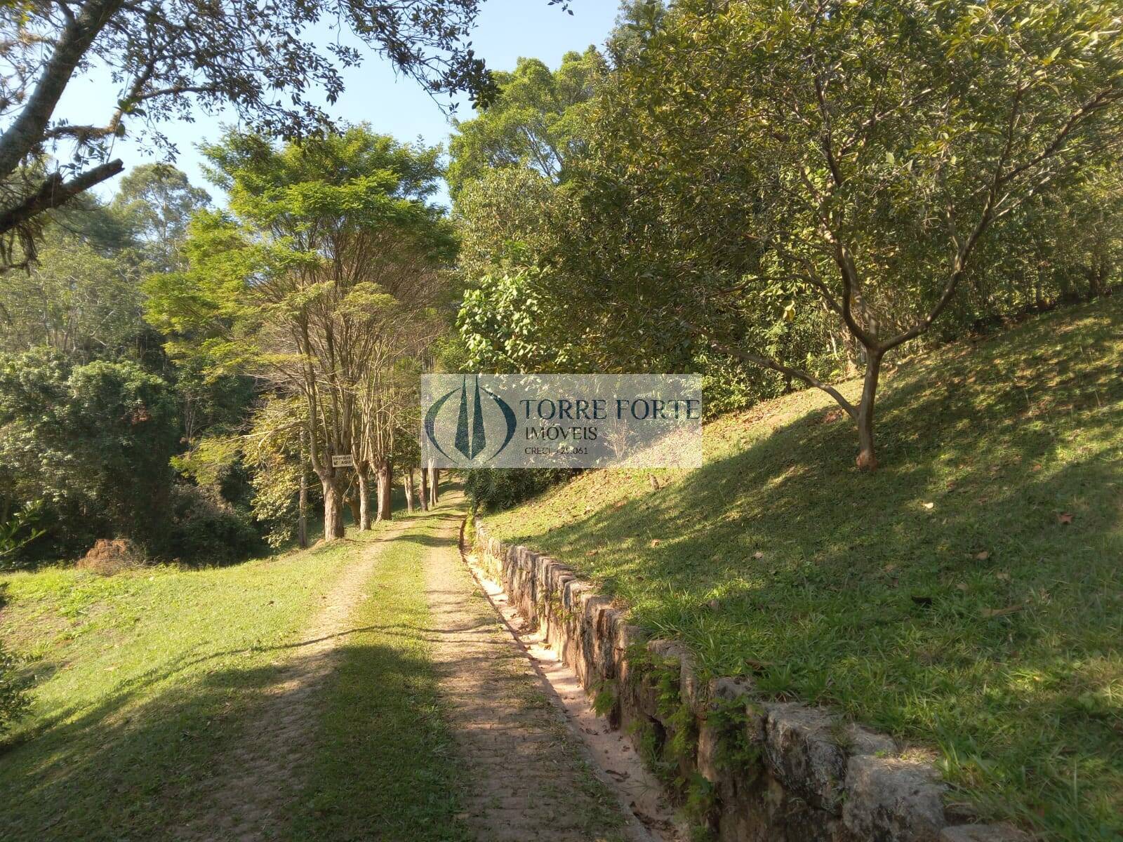 Sítio à venda, 99161m² - Foto 11