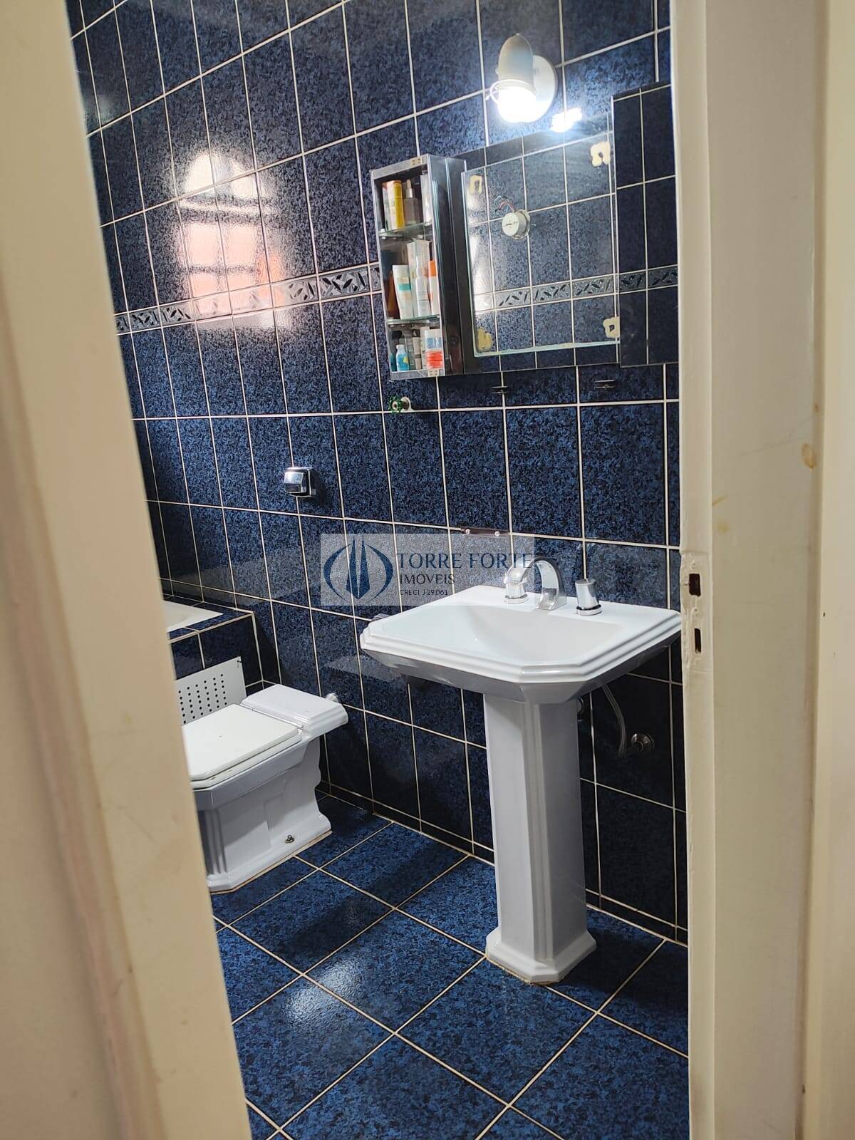 Casa, 4 quartos, 270 m² - Foto 13