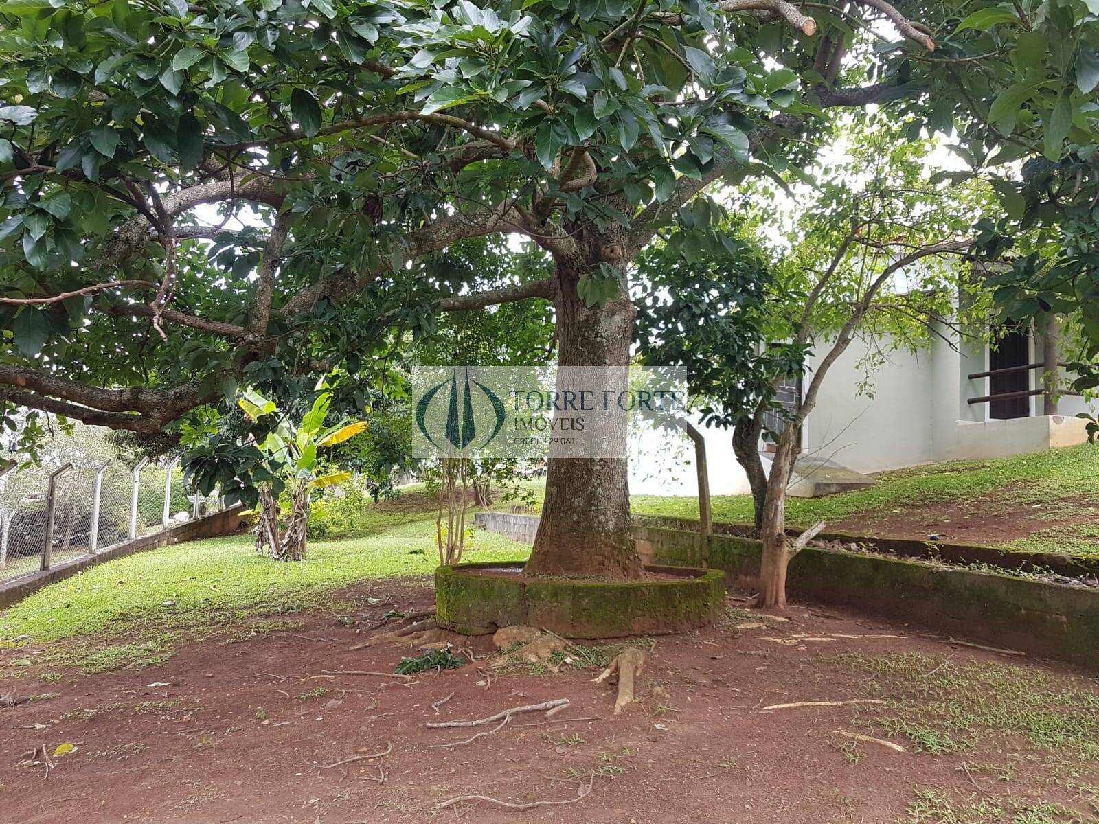 Casa, 5 quartos - Foto 23