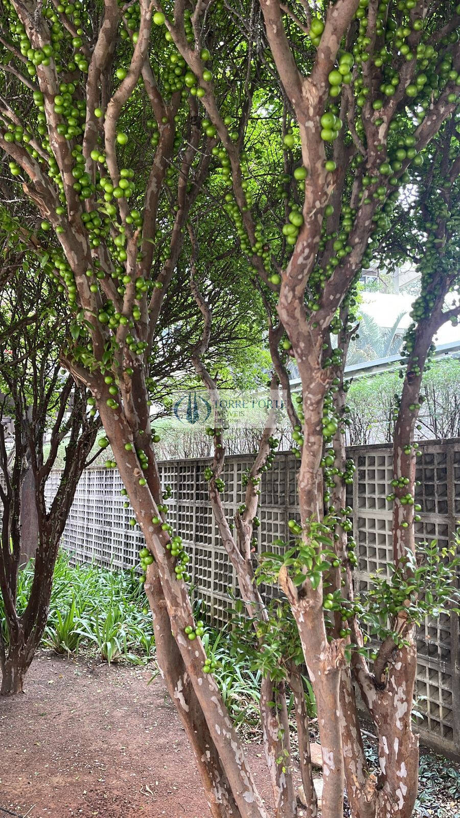 Apartamento, 2 quartos, 79 m² - Foto 37