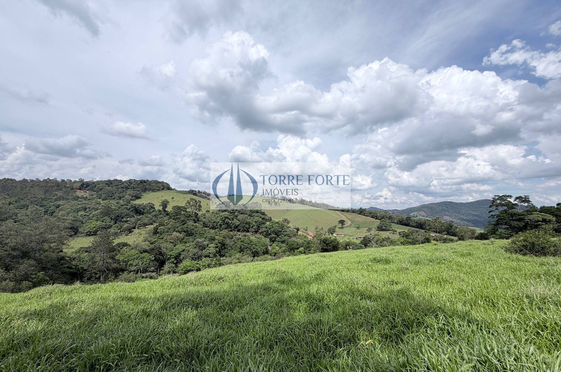 Terreno, 7 hectares - Foto 3