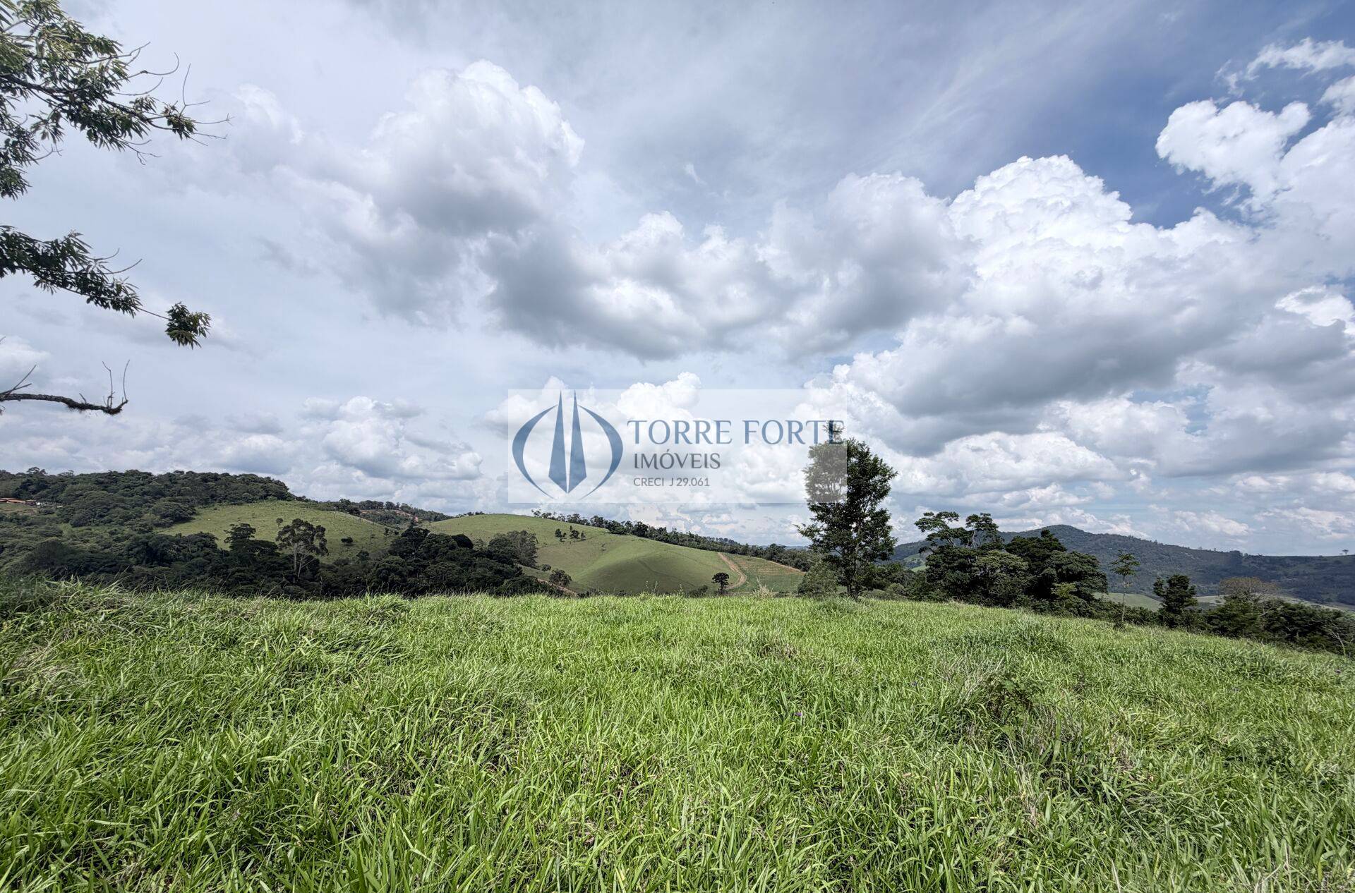 Terreno, 7 hectares - Foto 4