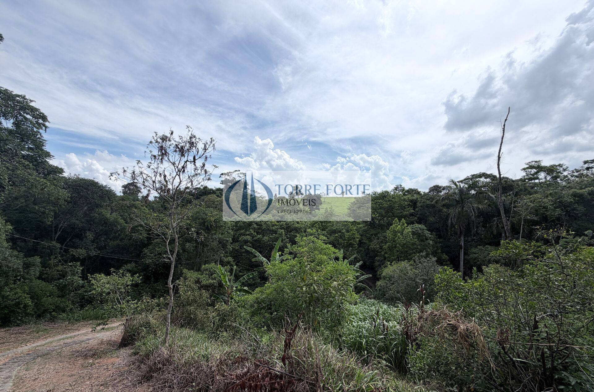 Terreno, 7 hectares - Foto 5