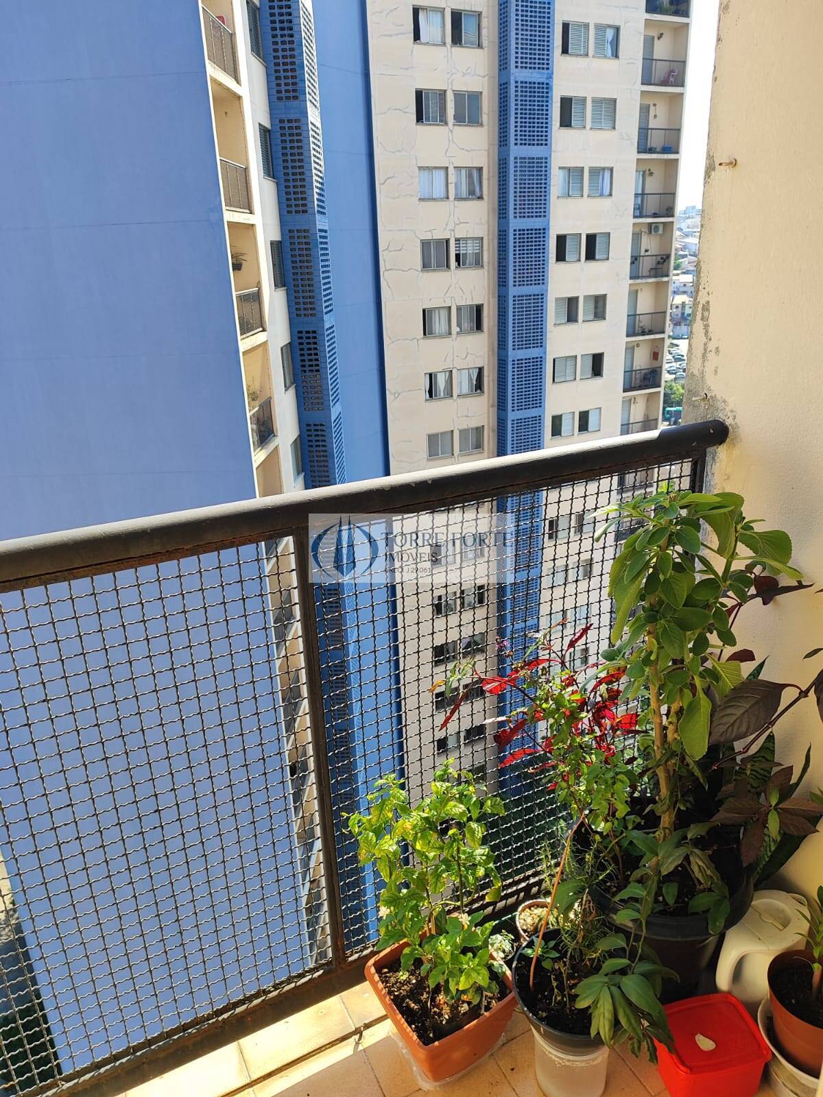 Apartamento, 3 quartos, 78 m² - Foto 3