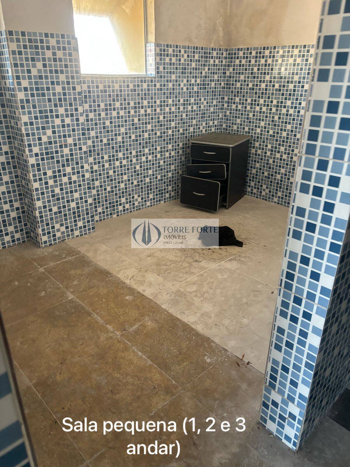 Sala-Conjunto, 10000 m² - Foto 14