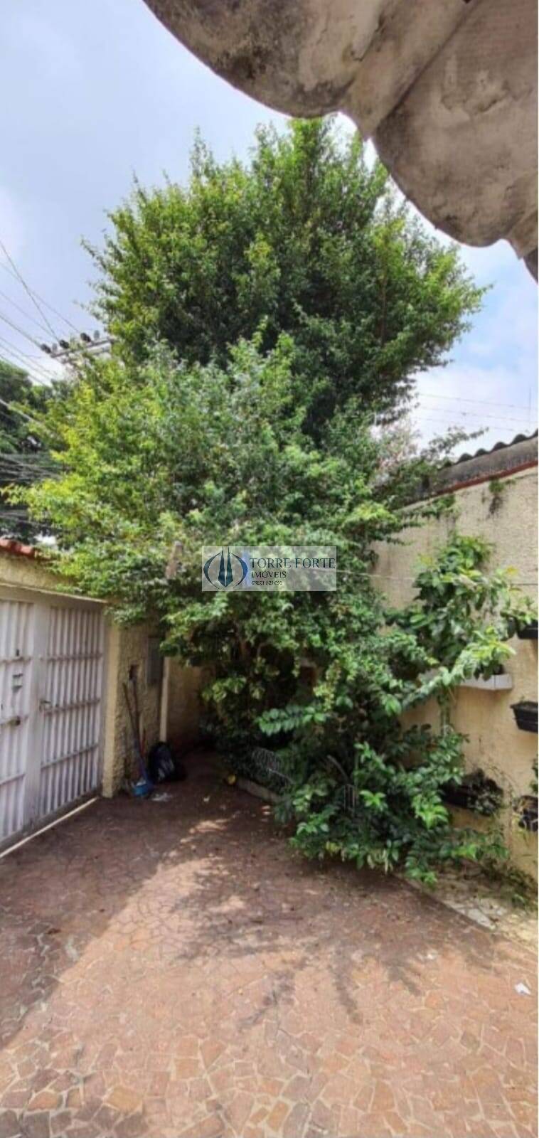 Casa, 4 quartos, 201 m² - Foto 10