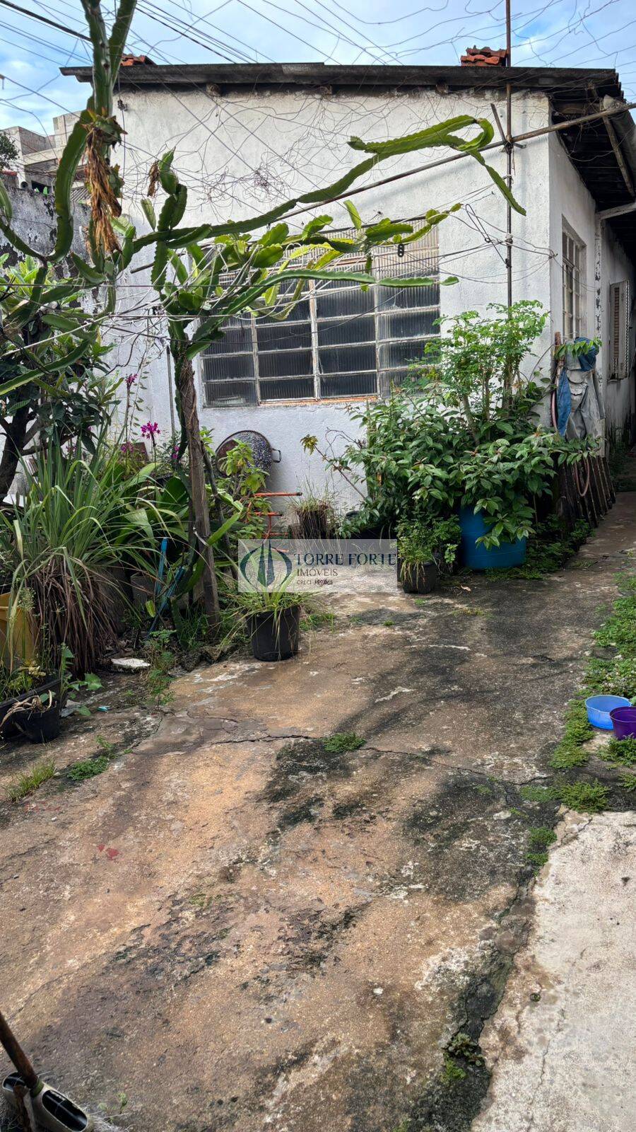 Terreno, 223 m² - Foto 6