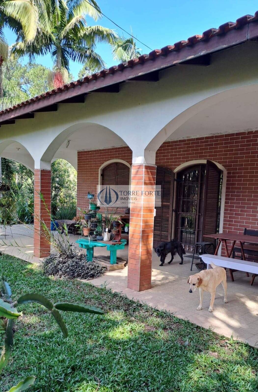 Sítio, 3 quartos, 1 hectares - Foto 62