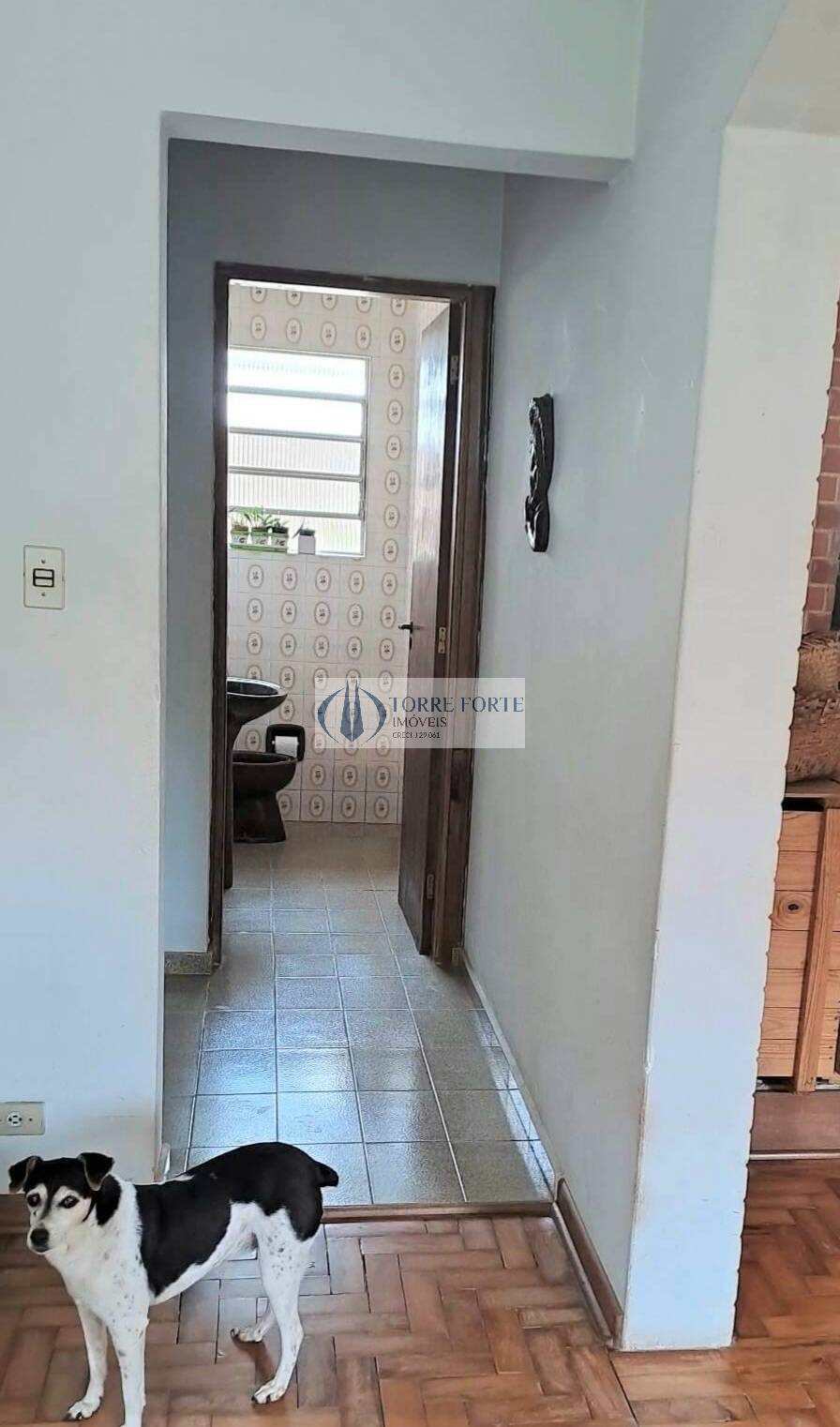 Sítio, 3 quartos, 1 hectares - Foto 64