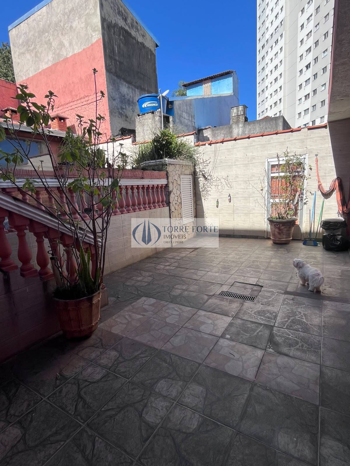 Casa, 4 quartos, 350 m² - Foto 19