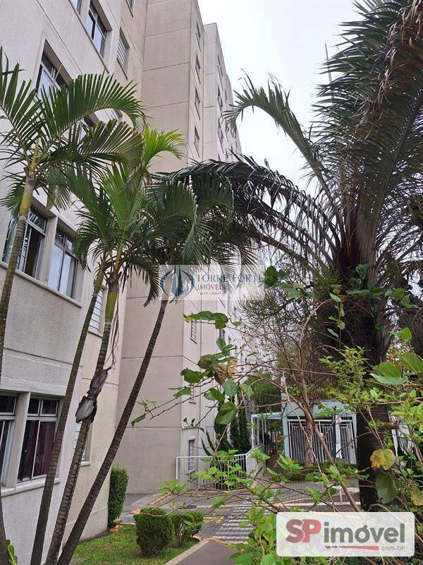 Apartamento, 3 quartos, 56 m² - Foto 11