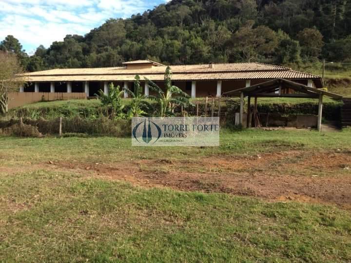 Sítio, 4 quartos, 73 hectares - Foto 2