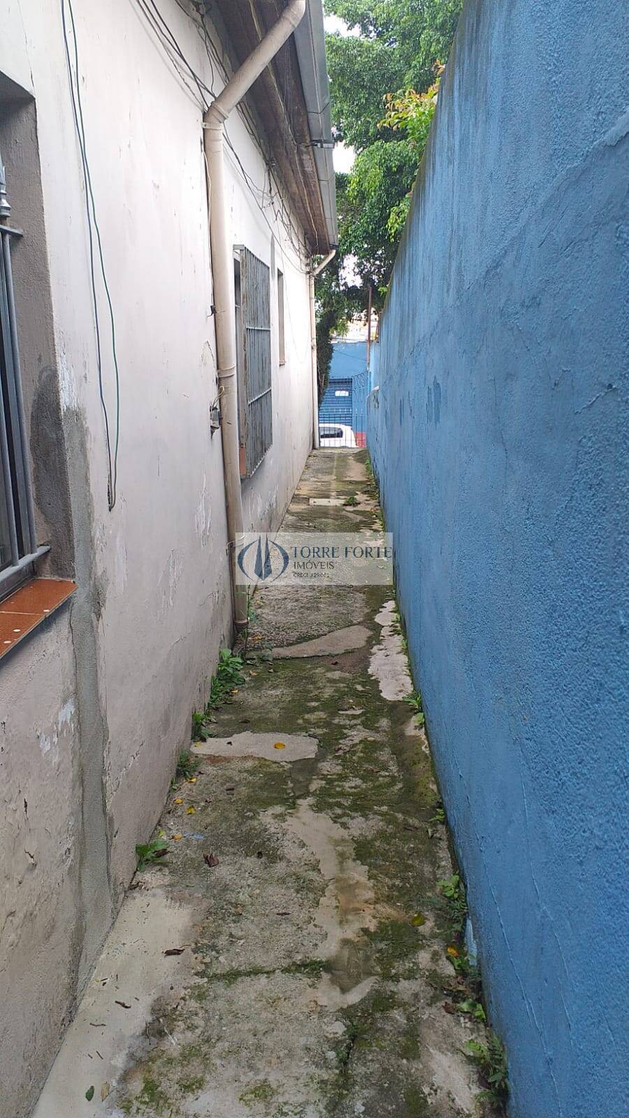 Casa, 5 quartos, 500 m² - Foto 11