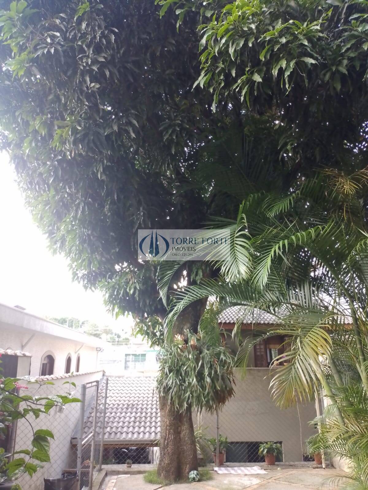 Casa, 3 quartos, 230 m² - Foto 11